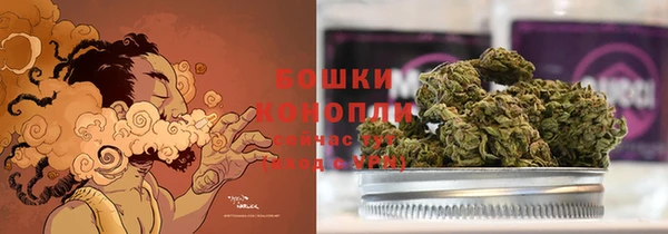 шишки Магадан