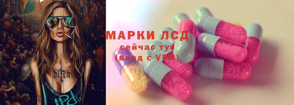 шишки Магадан