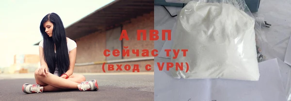 шишки Магадан