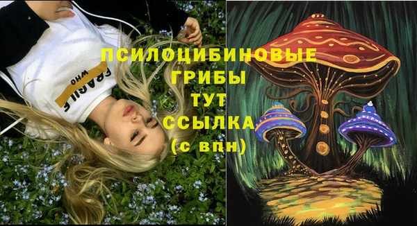 метадон Магас