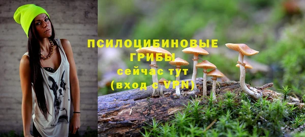 шишки Магадан
