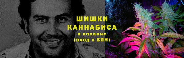 шишки Магадан