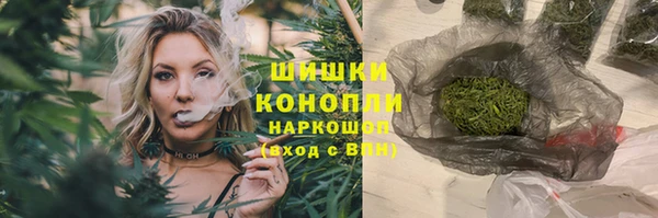 шишки Магадан
