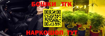 крисы Беслан